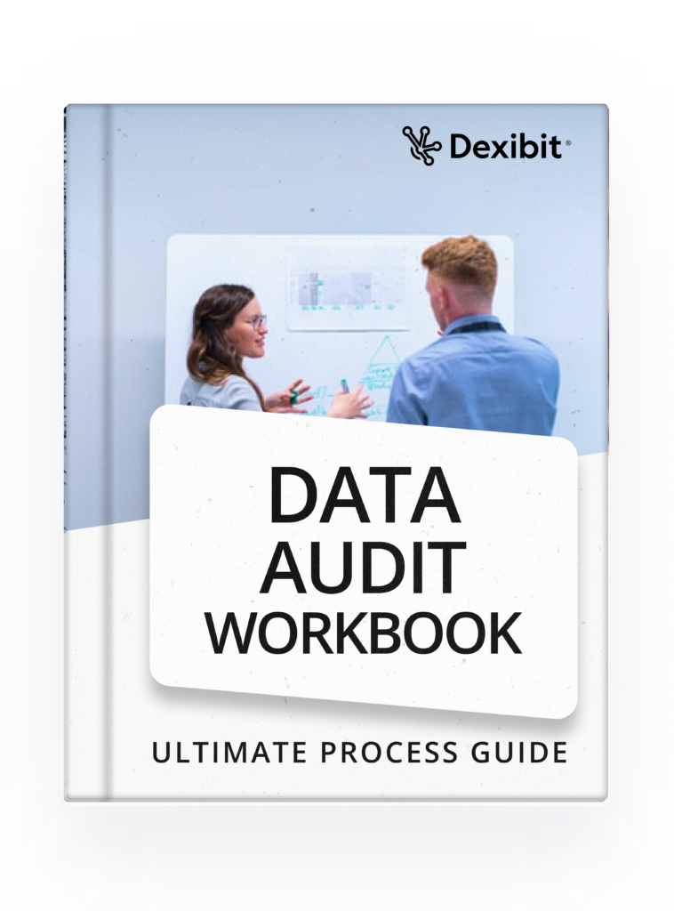 Data Audit Workbook